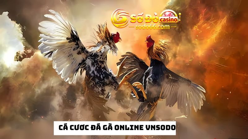  game đá gà online Vnsodo