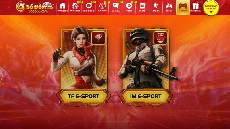 Bạn biết gì về E-Sports Vnsodo?