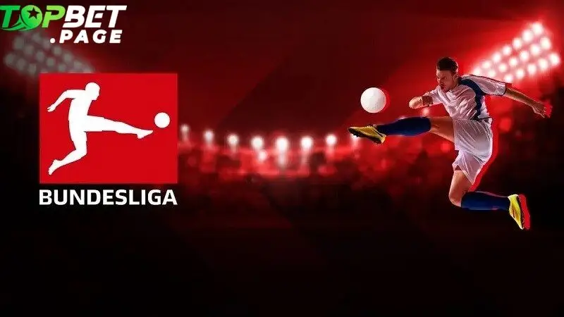 Bundesliga có lượng fan trung thành đông đảo và luôn thu hút bởi phong cách chơi kỷ luật, nhanh và hiệu quả