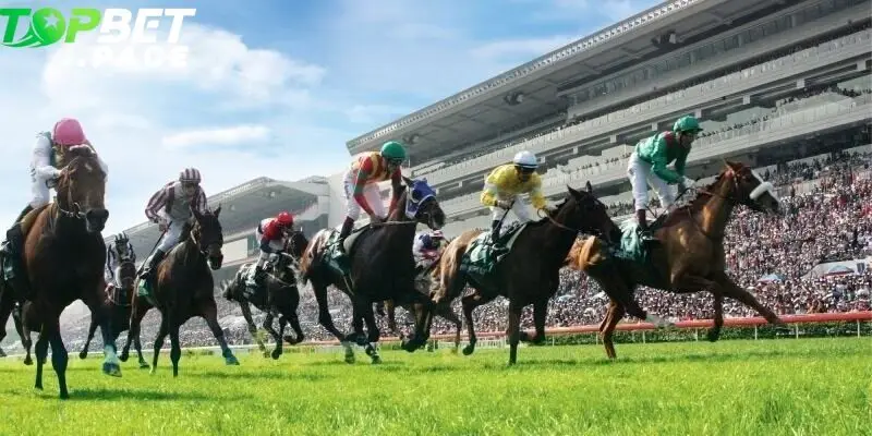 Đua ngựa tại Topbet luôn nằm trong top những bộ môn được yêu thích nhất trên nền tảng này