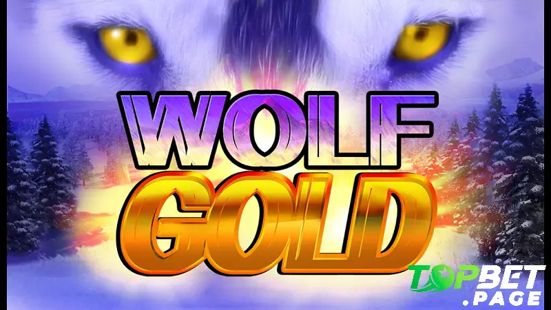 Giới thiệu tổng quan về Wolf Gold Topbet